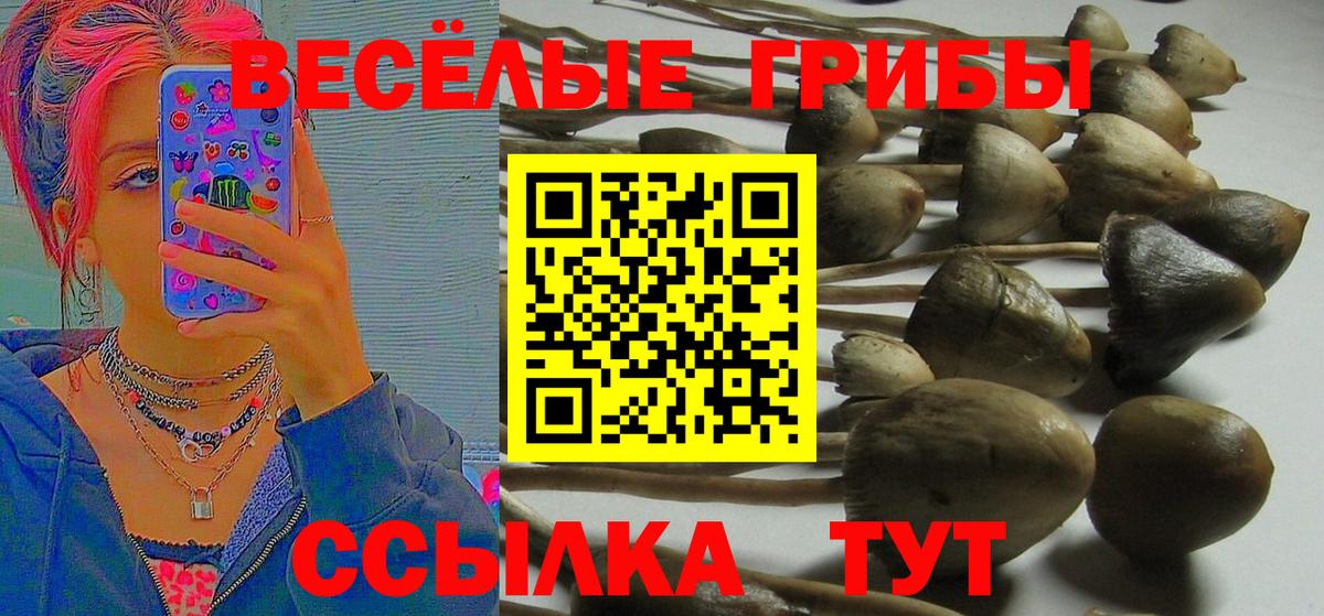 Псилоцибиновые грибы мухоморы Хабаровск
