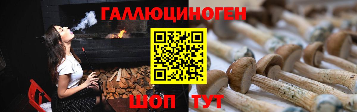 Галлюциногенные грибы Psilocybe  Вход с VPN  Хабаровск  где найти наркотики  Псилоцибиновые грибы Psilocybine cubensis 